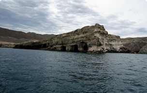 Marketing SMS Cameroun - Stratégies communication digitale