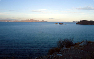 WhatsApp Business API - Guide intégration entreprises Cameroun